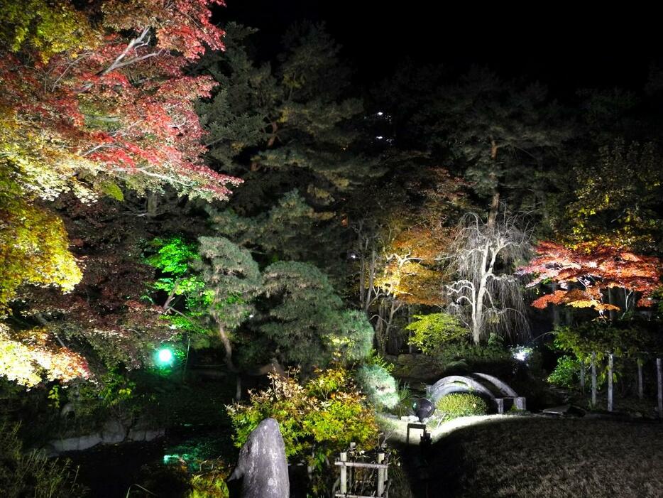 ライトアップされた紅葉と暗闇のコントラストが美しい庭園