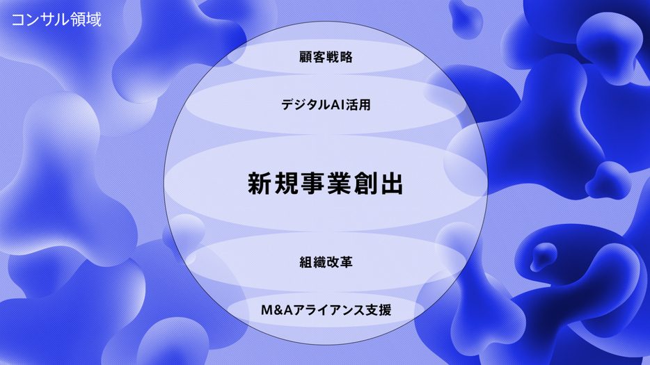 次世代コンサルティングサービスを提供