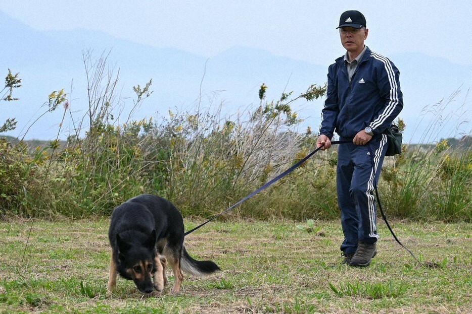 足跡をたどる訓練をする指導手の栗崎栄さんと嘱託警察犬のサム＝長崎県諫早市高来町で２０２４年１１月１０日午前１１時５分、百田梨花撮影