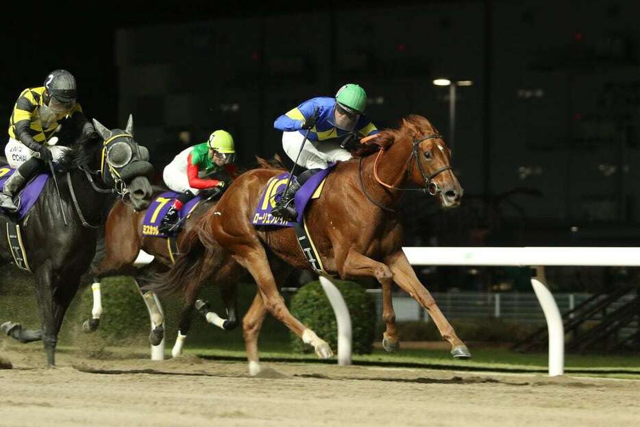 ロジータ記念を制したローリエフレイバー　川崎競馬場（撮影・大貫師男）