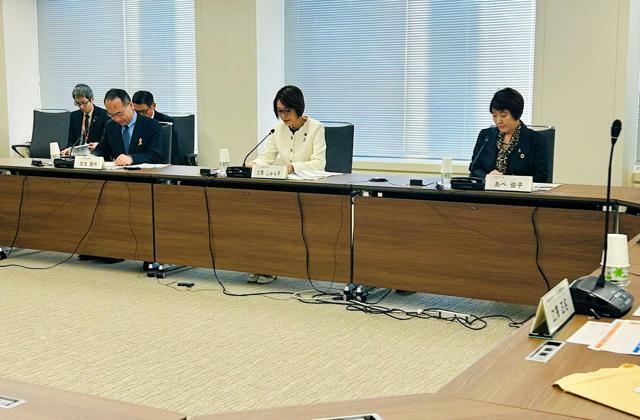 「いじめ防止対策に関する関係省庁連絡会議」の冒頭で発言する三原じゅん子こども政策担当相（中央）=2024年11月8日午後3時2分、東京都千代田区