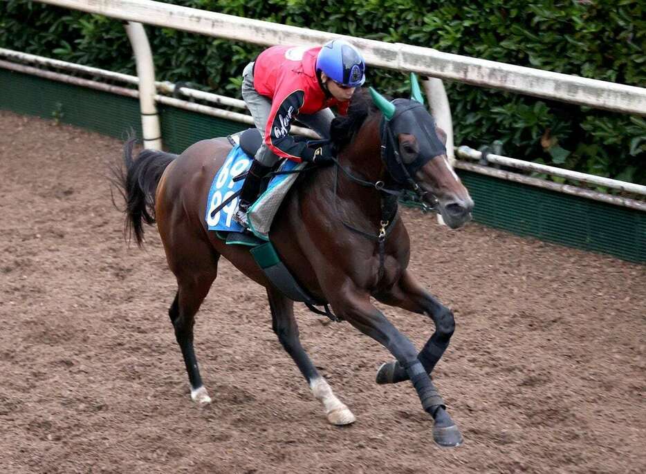 サヴォーナ＝栗東トレセン（撮影・安部光翁）