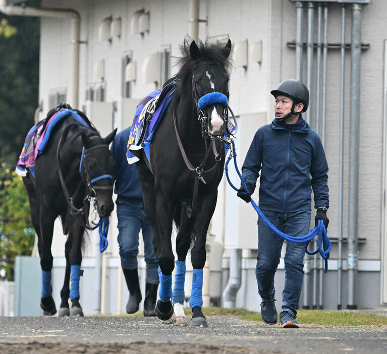 21日、厩舎周りを運動するドゥレッツァ