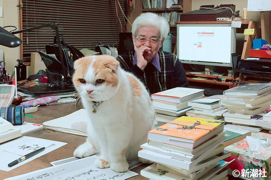 養老孟司さんと17年間連れ添った愛猫「まる」