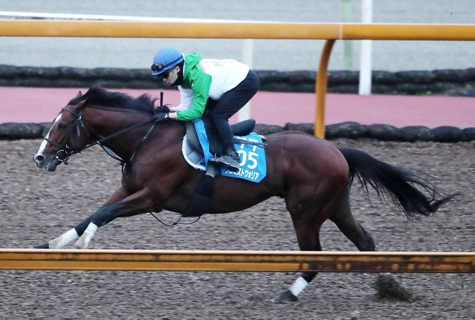 長期休養前には東海S、アンタレスSと重賞を2勝しているプロミストウォリア