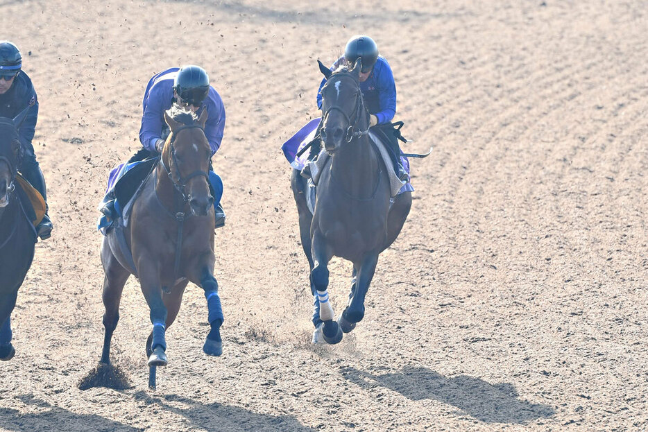 ３頭併せで鋭く反応。最先着したスターズオンアース（右）