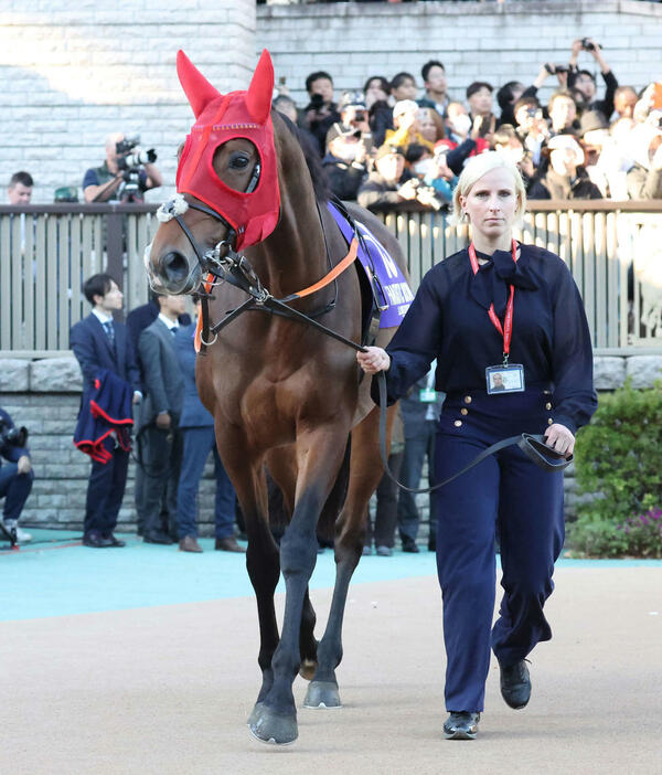 24日、ジャパンCに出走したファンタスティックムーン