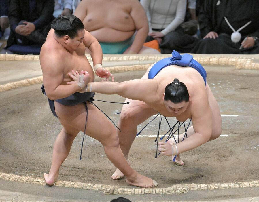 昇龍（左）がとったりで大の里を破り１２勝目、１敗を守る（カメラ・今西　淳）