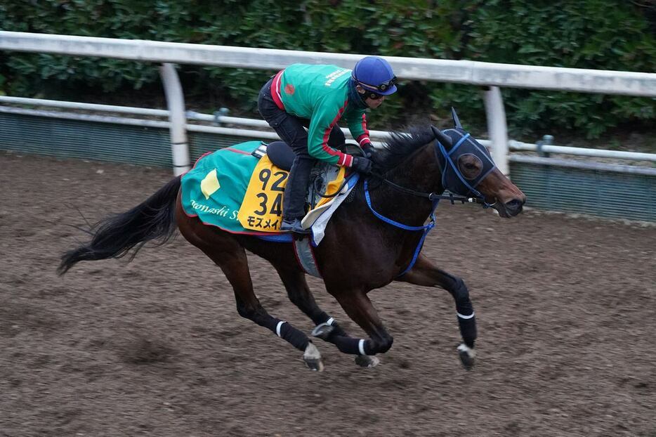 馬なりで登坂したモズメイメイ＝栗東トレセン（撮影・岩川晋也）