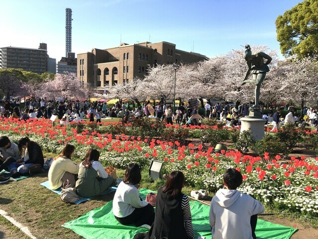 鶴舞公園は1909（明治42）年に開園した名古屋の公園第一号。ソメイヨシノ約700本、バラ約1400本など四季折々の花木が目を楽しませてくれる