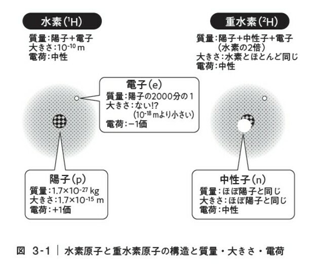 水素原子と重水素原子の構造と質量・大きさ・電荷