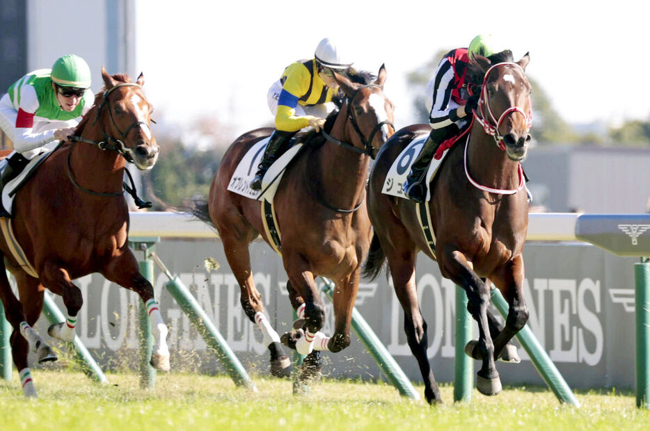 デビュー戦を勝利で飾ったジュタ（右）（カメラ・荒牧　徹）