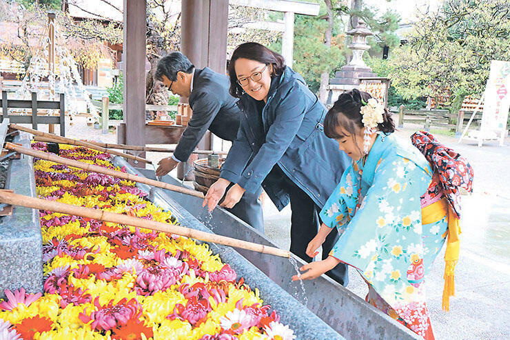 菊を眺めながら手を清める参拝者=射水神社