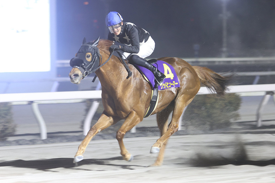 １０歳馬グッドヒューマーが主役（高知県競馬組合提供）