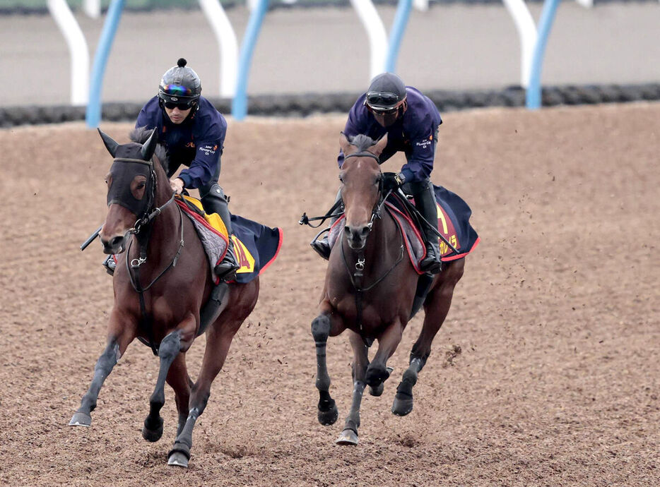 Ｗコースで追い切ったレガレイラ（右）。左はウンブライル（カメラ・荒牧　徹）