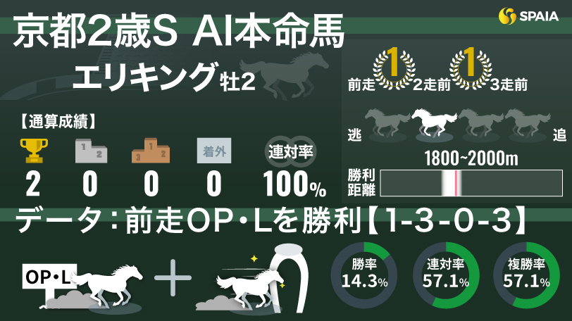 2024年京都2歳ステークス AI本命馬 エリキング