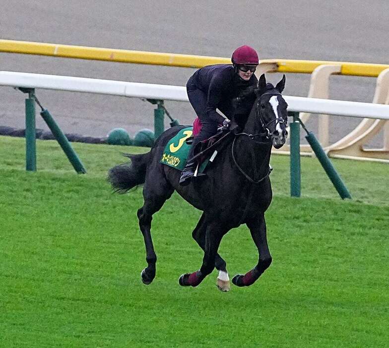 オーギュストロダン＝東京競馬場（土谷創造撮影）