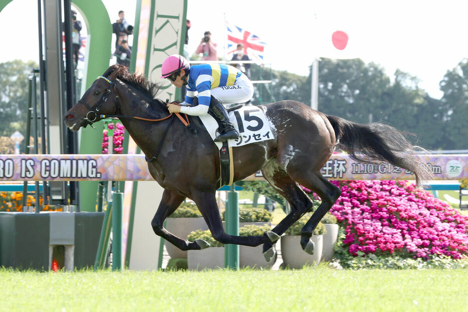 京都・芝２２００メートルで行われた６Ｒは 逃げたジンセイがＶ（カメラ・高橋　由二）