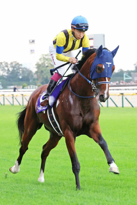 横山武史騎手騎乗で天皇賞・秋は７着だったソールオリエンス