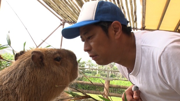 「パンサー尾形のどんぶり旅」