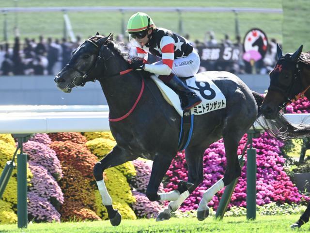 2歳新馬戦を勝利したミニトランザット(c)netkeiba