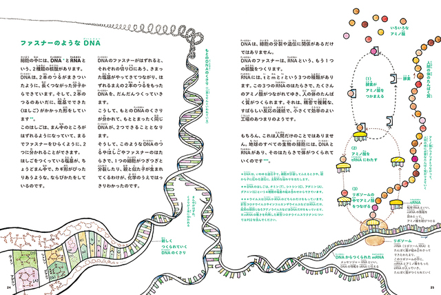 『かこ さとし　新・絵でみる化学のせかい4　地球と生命　自然の化学』より。新型コロナウイルスのワクチンで一般的に知られることとなったmRNAについてもわかりやすく説明されている。