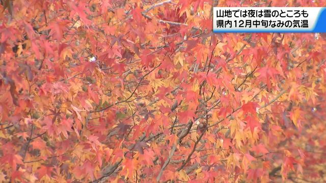 テレビ金沢NEWS