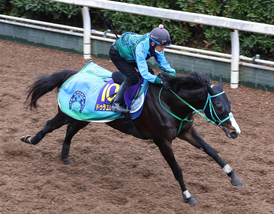 坂路を単走で追い切るドゥラエレーデ（撮影・白石智彦）