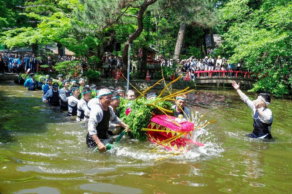 栃木・間々田八幡宮（ままだはちまんぐう）の「じゃがまいた」（5月5日）は、巨大な蛇体が境内の池を泳ぐ。由来は雨乞いの儀式で、同様の祭りは各地に残る