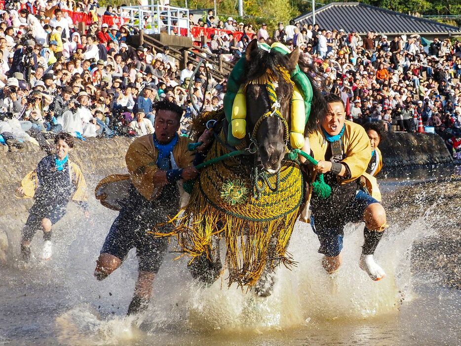 熊本「八代妙見祭」　まさに人馬一体のショー。馬は祭りのために地域で飼育している