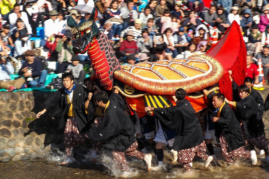 熊本「八代妙見祭」　巨体ながら猛スピードで駆け回る