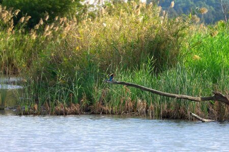 Lagutina/shutterstock.com