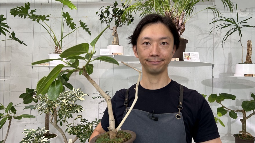 枯れかけた観葉植物を再生させている川原伸晃さん