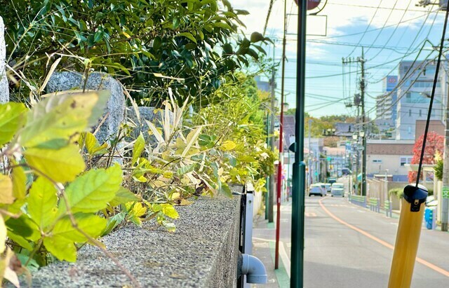 緑が多い街・永福町