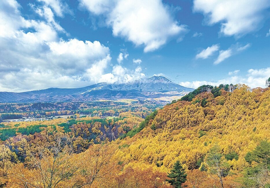 木曽町開田高原の九蔵峠からは、霊峰・御嶽山と色鮮やかな黄葉、澄んだ青空が共演する光景が望めた（14日午前9時ころ）