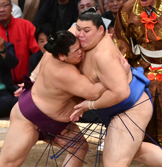 平戸海（左）と組み合う大の里（撮影・岩下翔太）