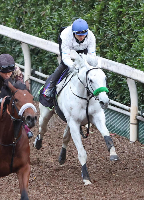 長岡騎手を背に坂路を単走で追い切るガイアフォース（撮影・白石智彦）