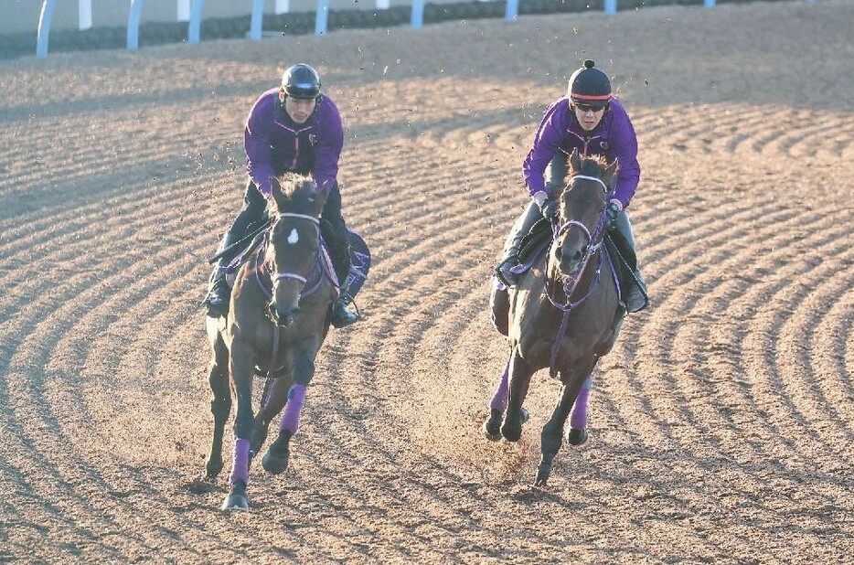 初勝利まで3戦を要したプレシャスデイ(右)だが、前走の内容には好印象