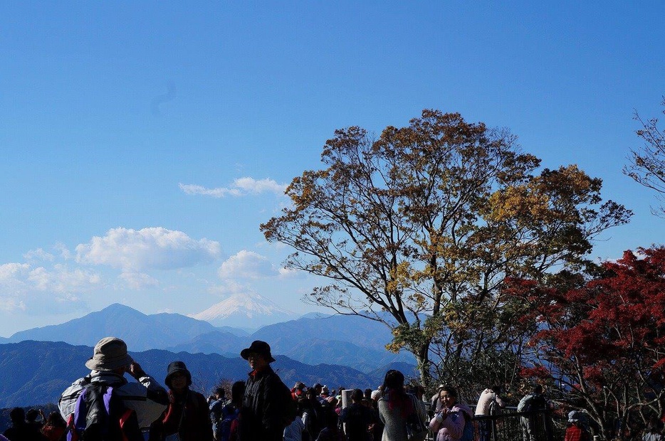 紅葉と富士山を同時に見られることも／高尾山の紅葉