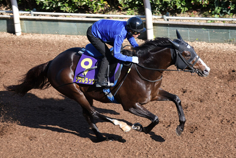 昨年は２着のソウルラッシュ