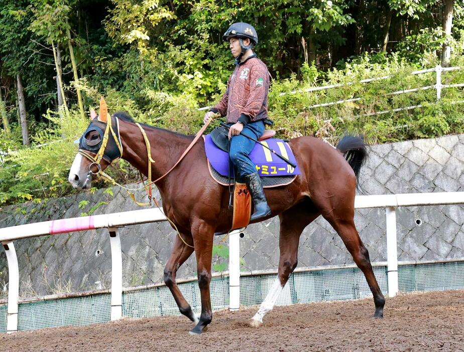 　連覇を狙うナミュール