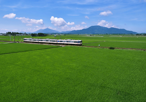 雲の下、明るい新緑の季節