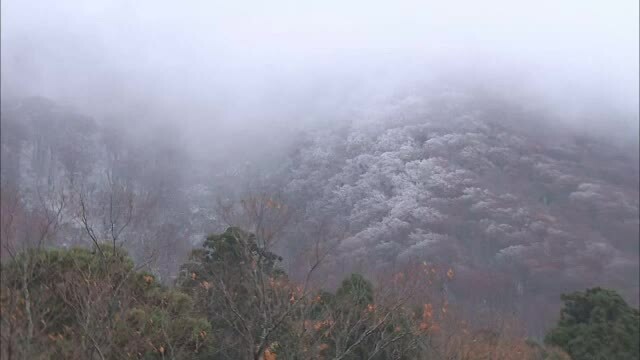 山陰中央テレビ