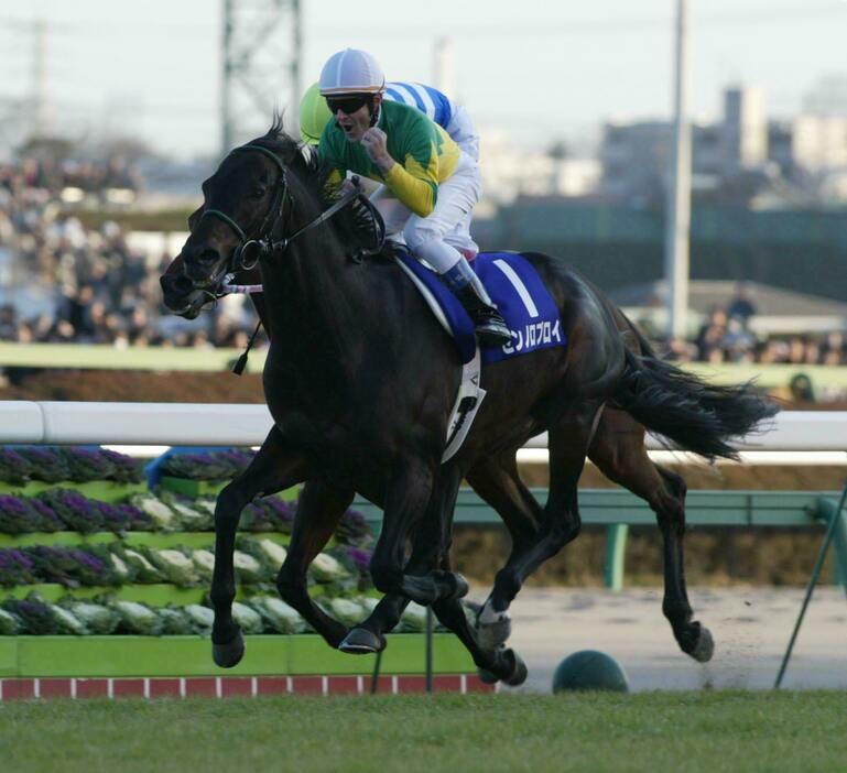 第49回有馬記念を制し、秋3冠を達成したゼンノロブロイ（2004年12月26日撮影）