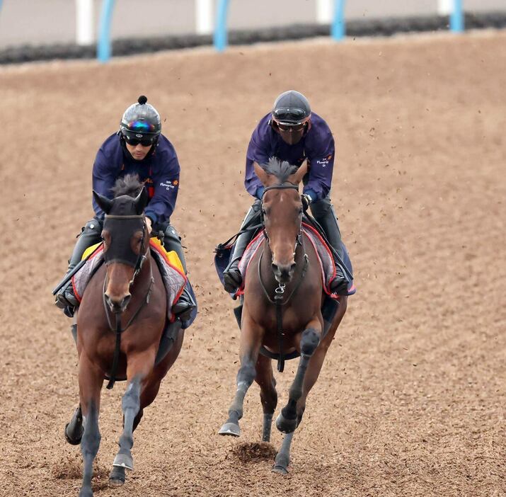 レガレイラ（右）は量、質ともに豊富な稽古をこなしている＝美浦トレセン（撮影・塩浦孝明）