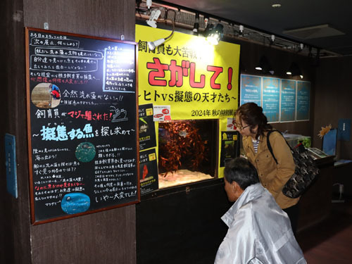 【擬態する魚たちが並ぶ秋の特別展示＝伊勢市二見町の「ゼロ距離水族館　伊勢シーパラダイス」で】