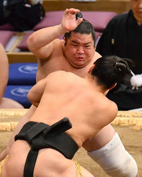 大相撲九州場所13日目　炎鵬（手前）を攻める藤闘志（撮影・岩下翔太）