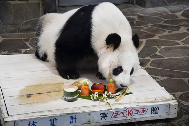 ひな祭りのごちそうです　神戸市立王子動物園公式ツイッターより