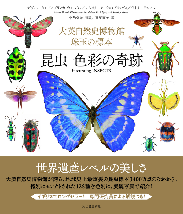 3400万点から厳選した珠玉の標本126点　昆虫が魅せる色彩の奇跡を楽しむ