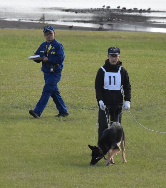 地面に残る匂いを頼りに遺留品を探す犬＝２８日午前、宮崎市・大淀川市民緑地